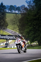 Advanced Group White Bikes